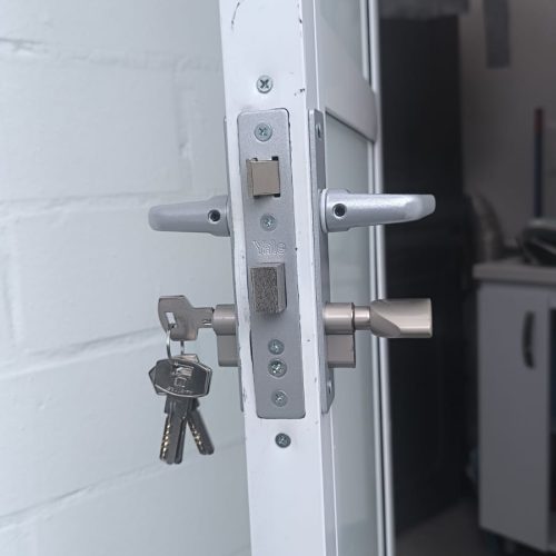 Copia de WhatsApp Image 2026-02-04 at 6.09.55 PM (3) (1)